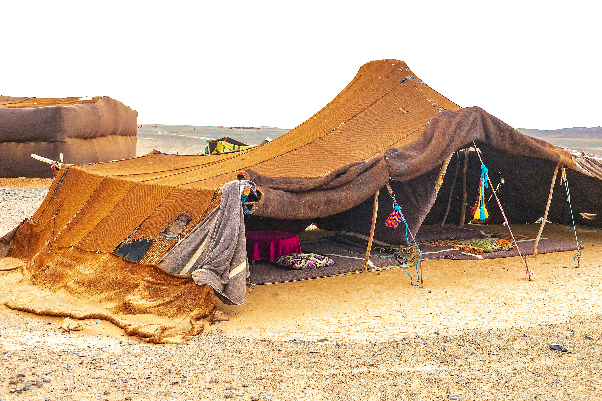 sahara bedouin camp (4).webp